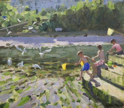 Kids and seagulls, Looe, 2013 by Andrew Macara